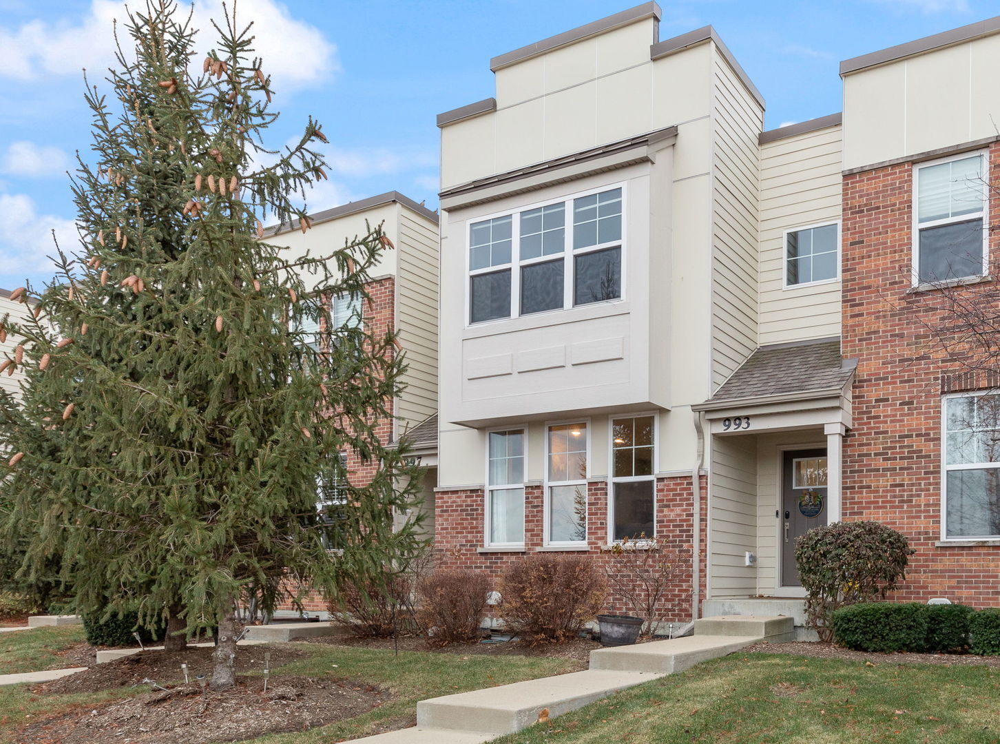 Property Photo:  993 Times Square Drive  IL 60504 