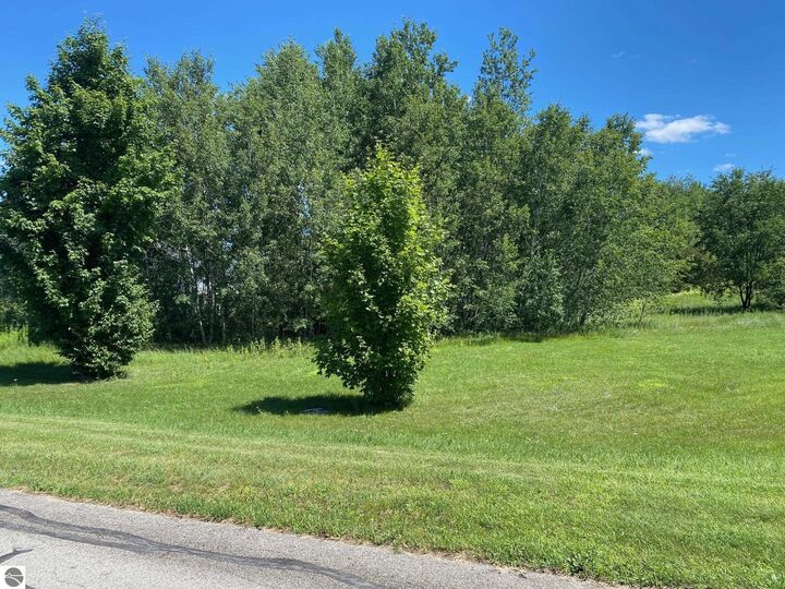 Property Photo:  846 Shamrock Lane  MI 49696 