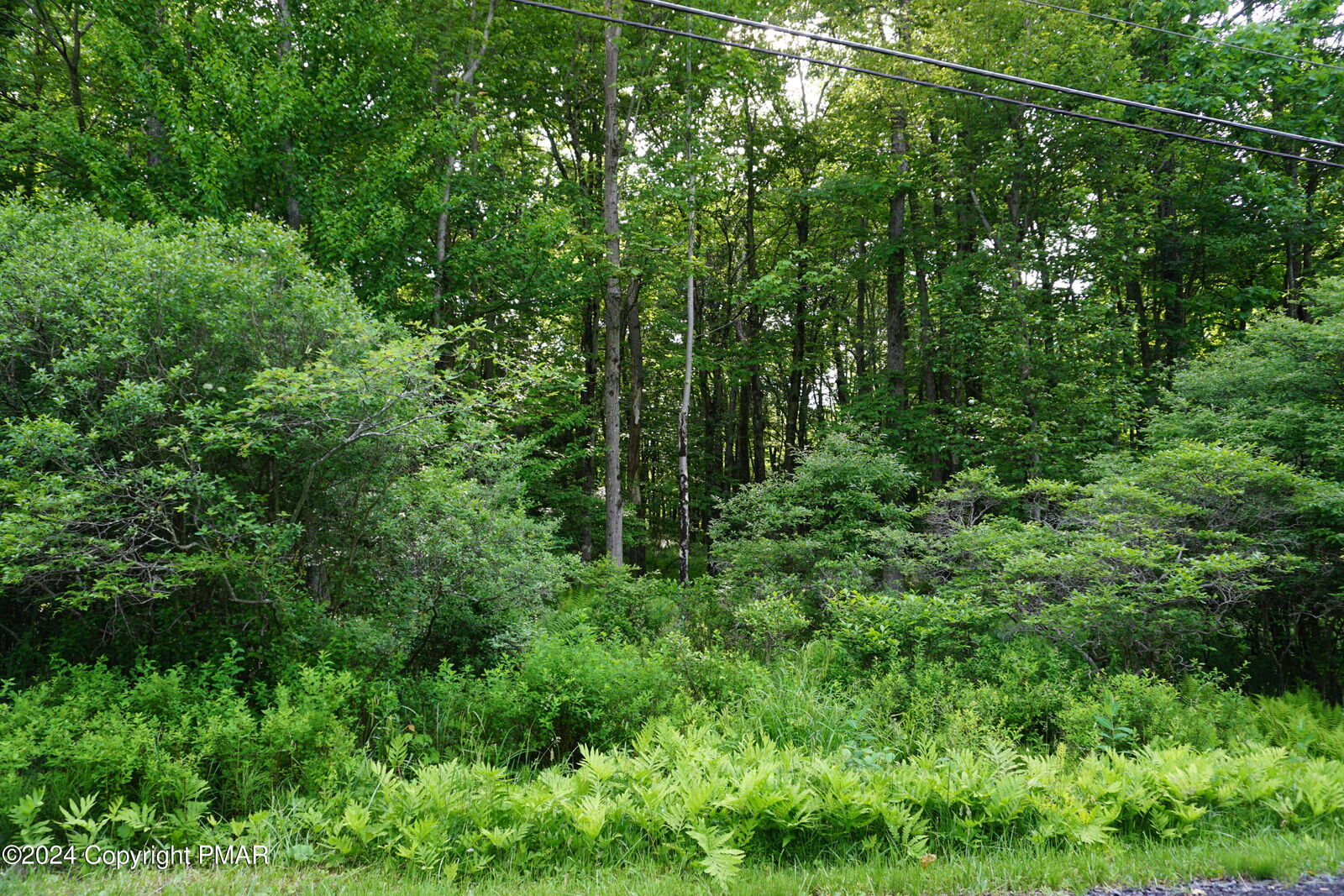 Property Photo: Wagner Way PA 18347