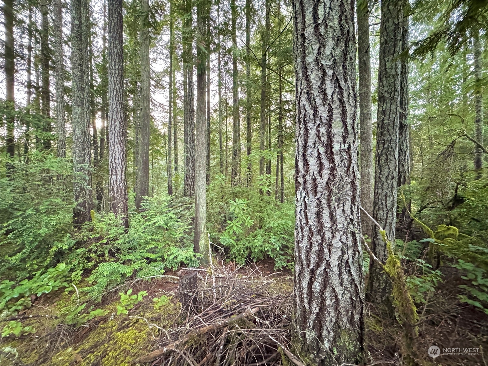 Property Photo:  8920 NW Holly Road  WA 98312 