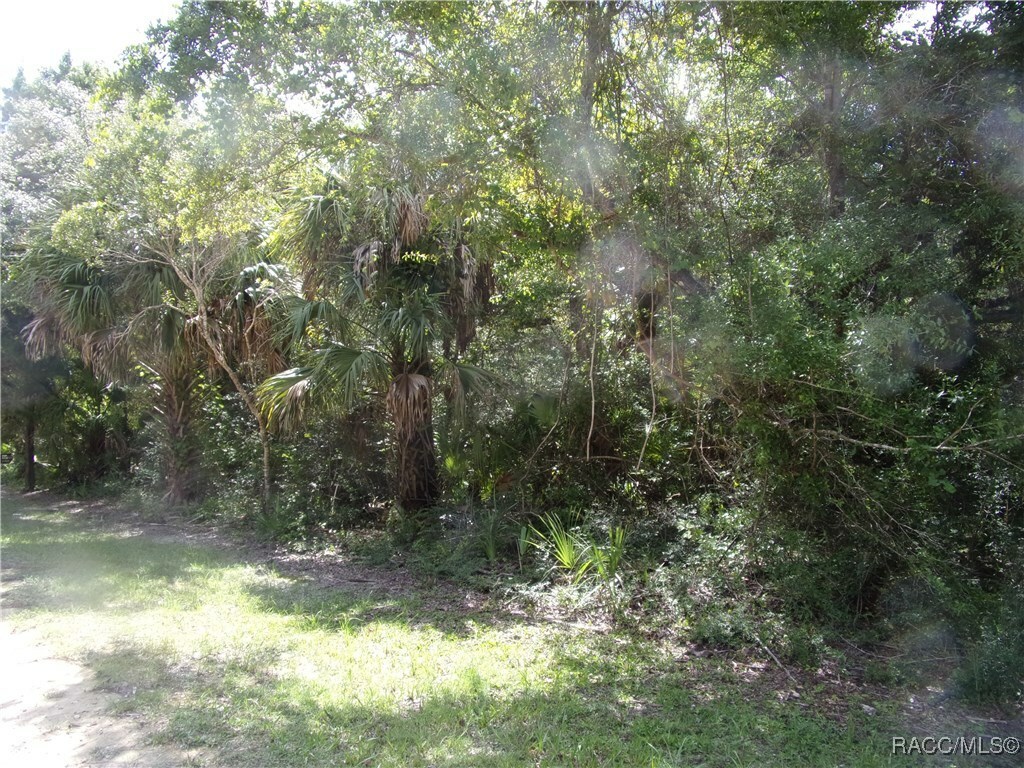 Property Photo: 0 Azalee Avenue FL 34449