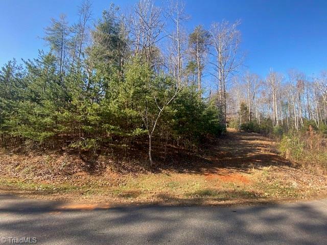 Property Photo:  Lot #3 Bayberry Lane  NC 28665 