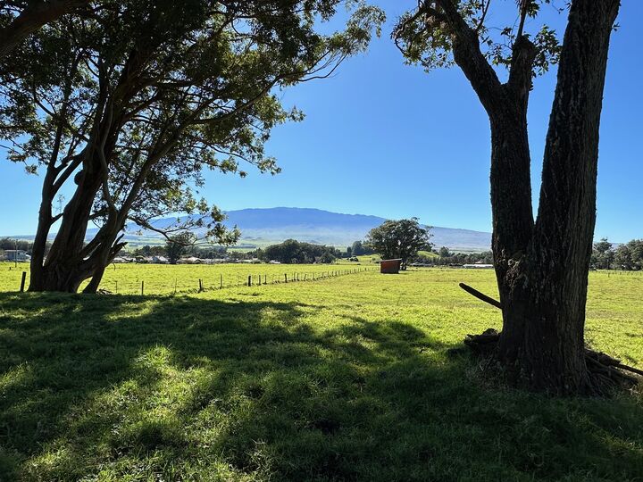 Property Photo: 64-550 Mamalahoa Highway HI 96743