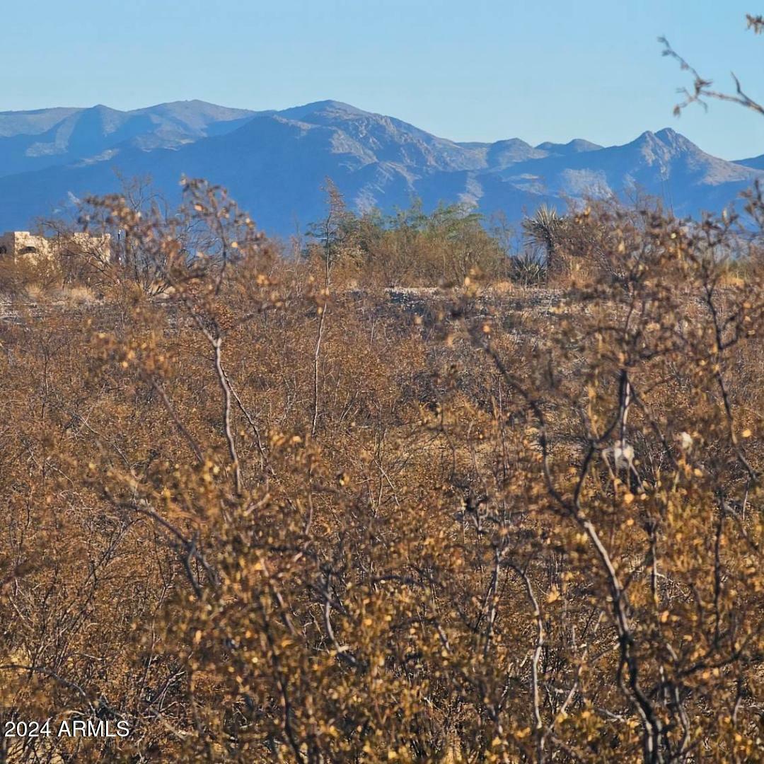 Property Photo:  21775 W Date Creek Road 10  AZ 85390 