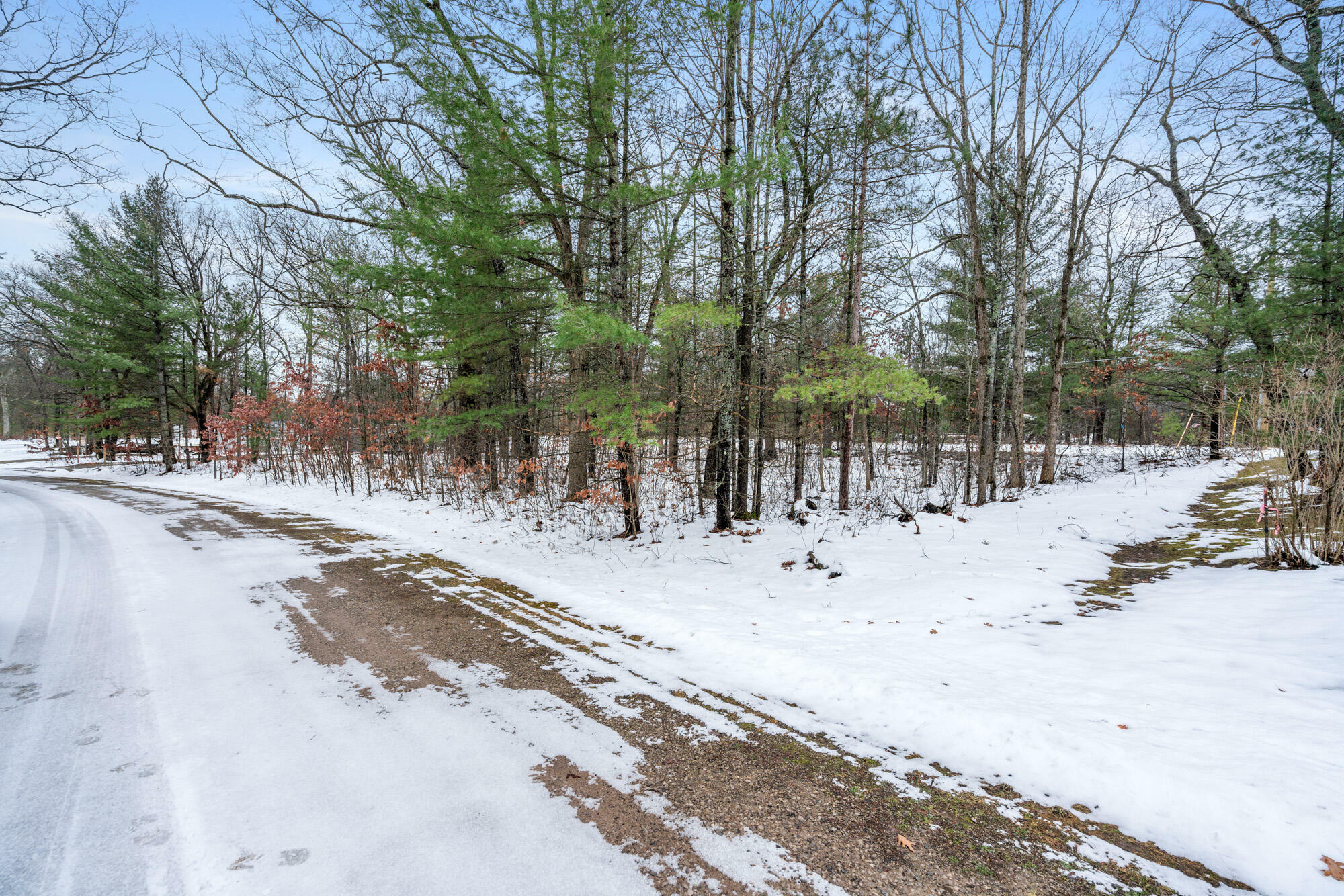 Property Photo:  7402 Tammy Drive  MI 49749 