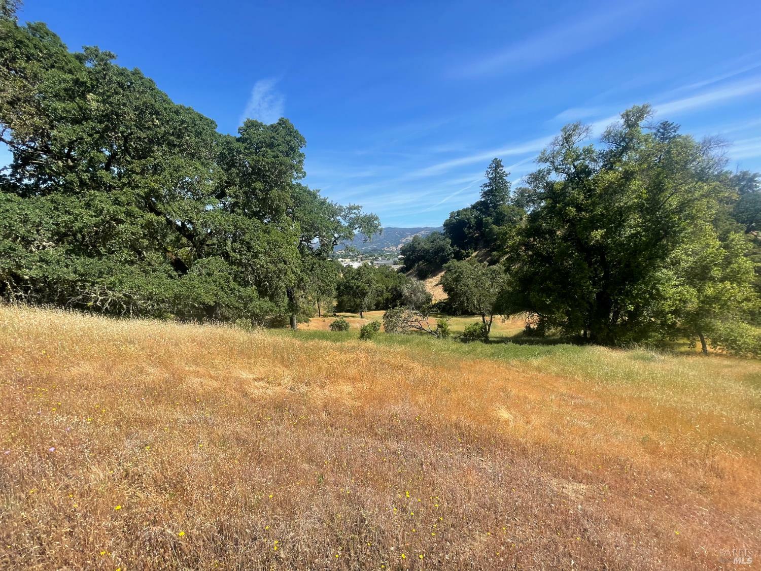Property Photo: 28365 Old Redwood Highway CA 95425