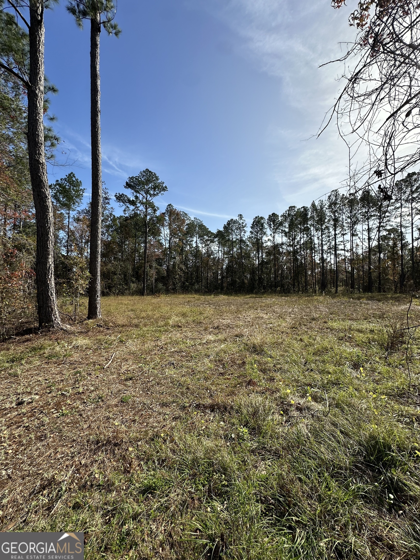 Property Photo:  407 Landing Circle  GA 31548 