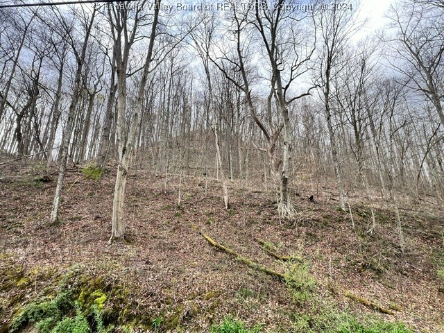 Property Photo:  0 Camp Creek Road  WV 25529 