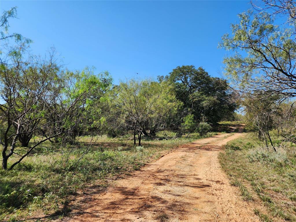 Property Photo:  Tbd County Road 197  TX 76448 