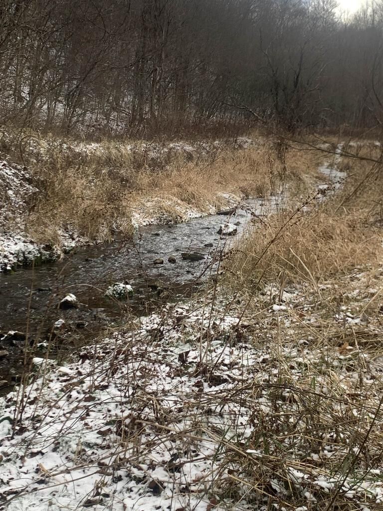 Property Photo:  E8405 Highway 56  WI 54665