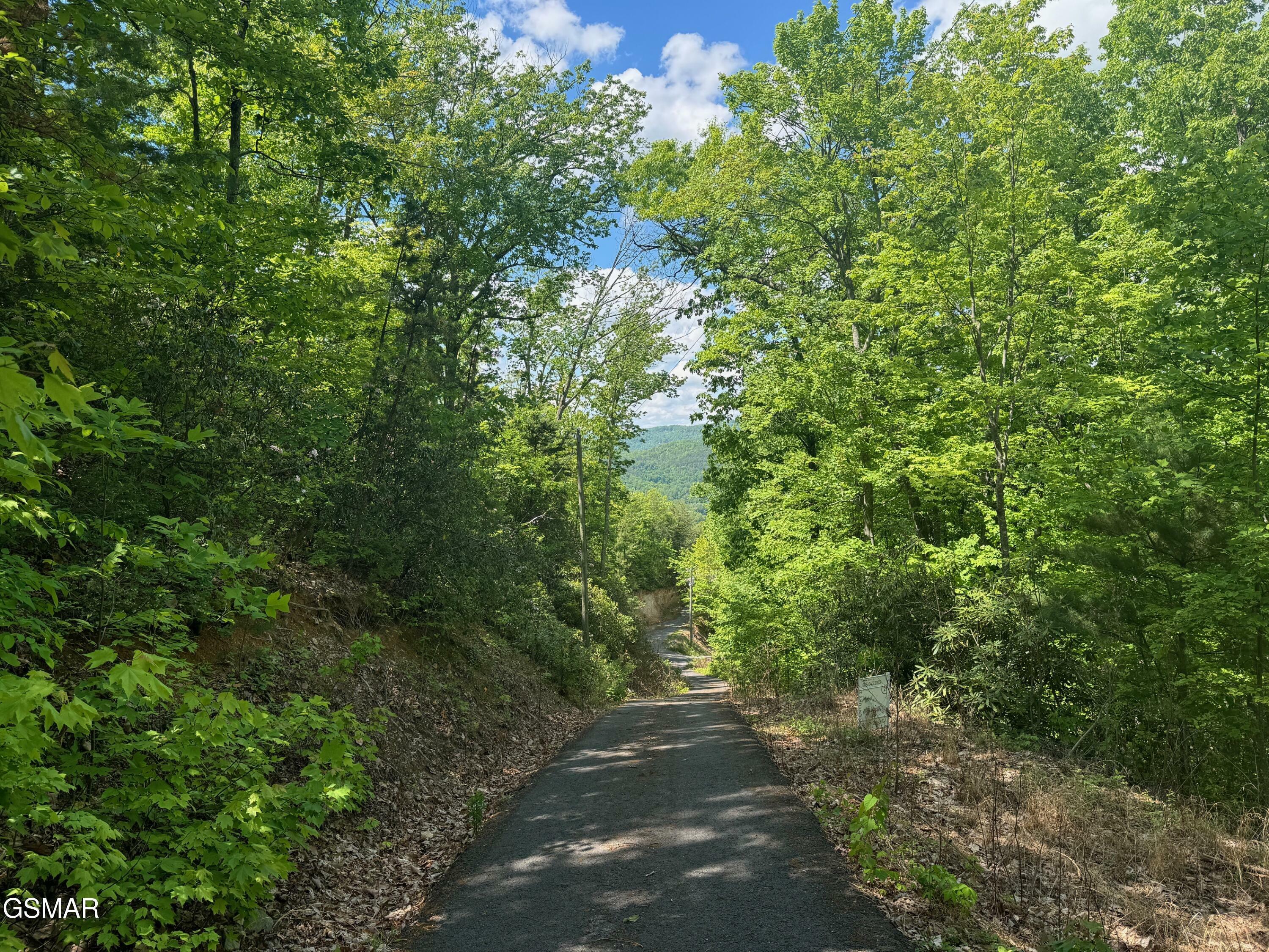 Property Photo:  Lot 2 High Ridge Way  TN 37862 