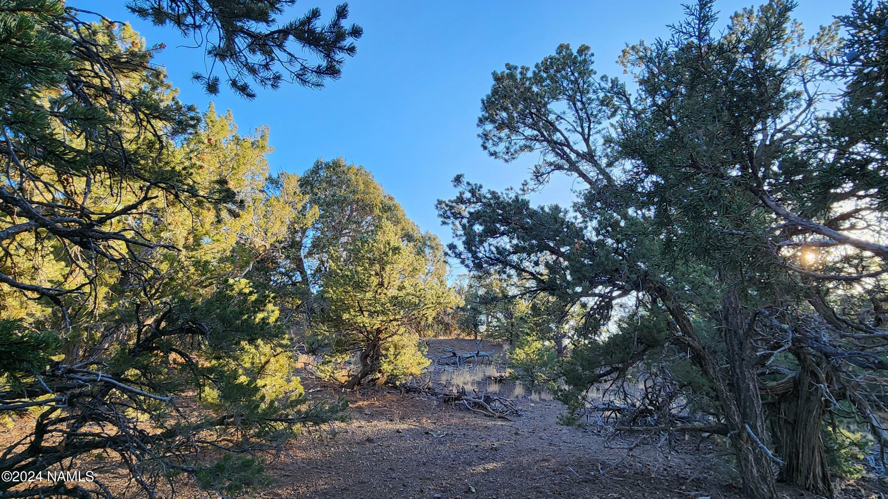 Property Photo:  Parcel # 20202016R  AZ 86046 