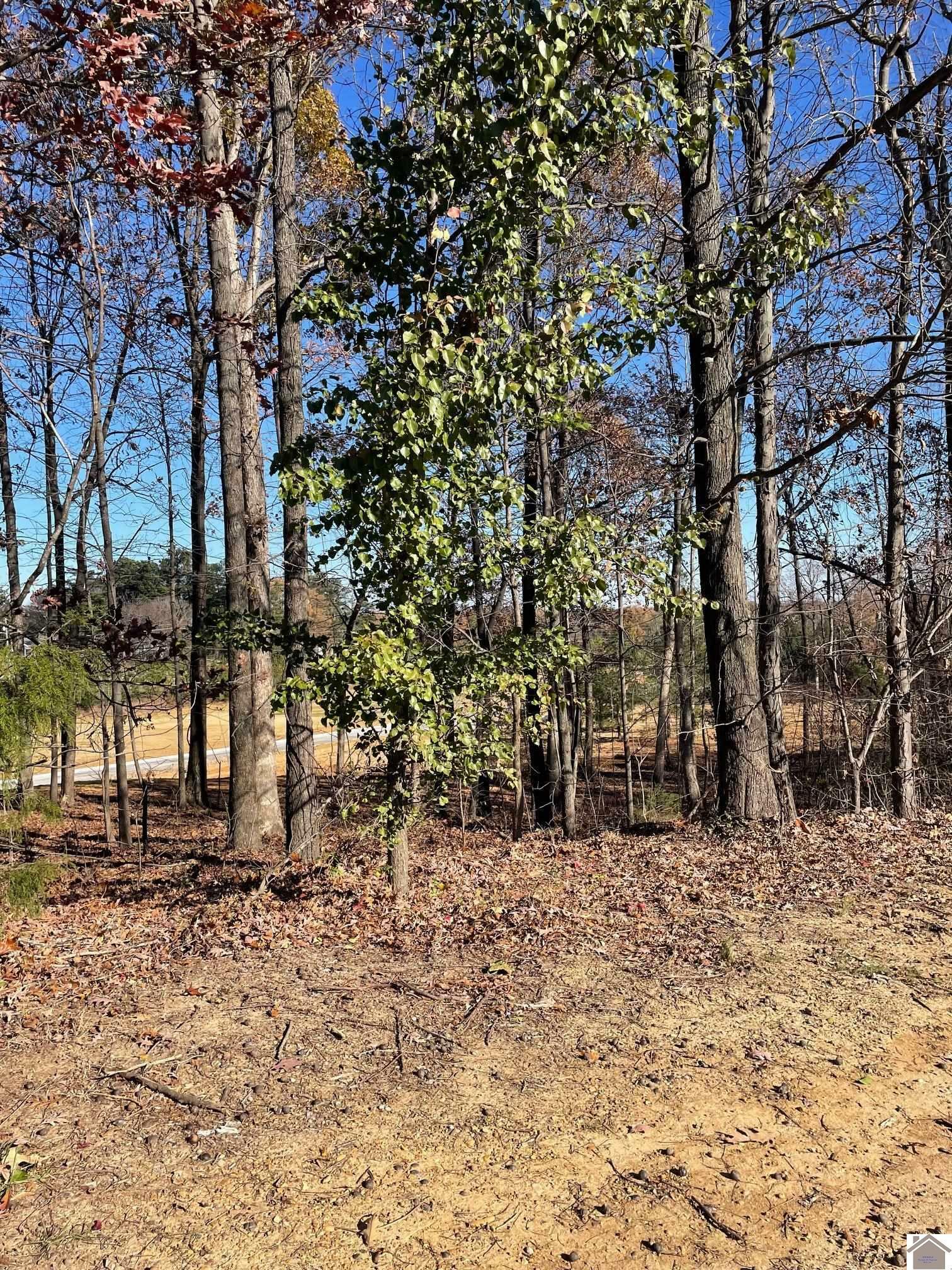 Property Photo:  Lot L-82 Forest Ridge Drive  KY 42003 