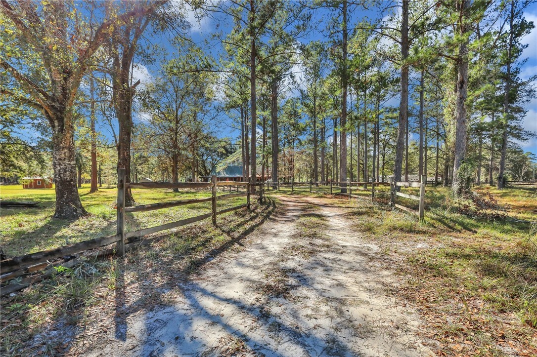 Property Photo:  295 Barbara Branch Road  GA 31543 