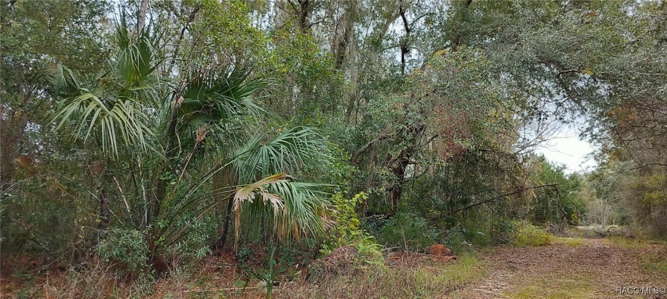 Property Photo:  965 S Sally Terrace  FL 34452 