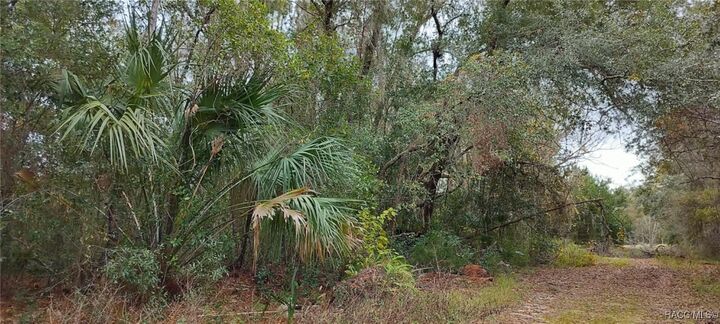 Property Photo: 965 S Sally Terrace FL 34452