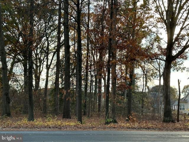 0 Schumaker Drive  Salisbury MD 21804 photo