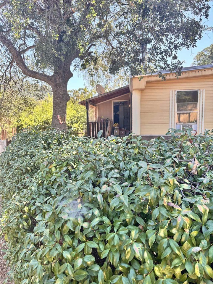 5314 Dogtown  Coulterville CA 95311 photo