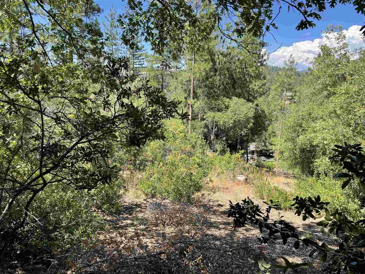 Lot 76 Skyline  Tuolumne CA 95379 photo