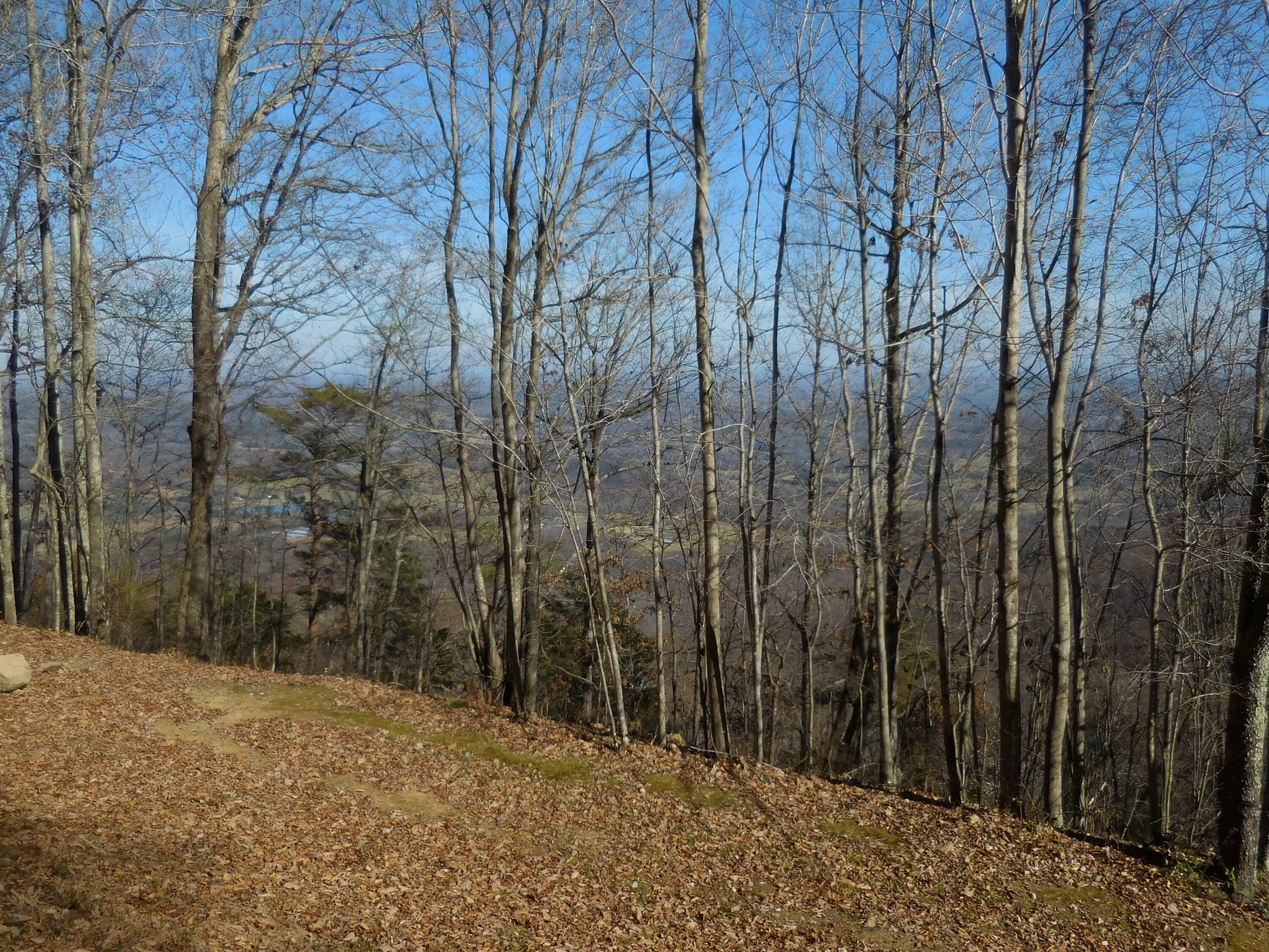 Property Photo:  H58 Tatum Mining Road  GA 30731 