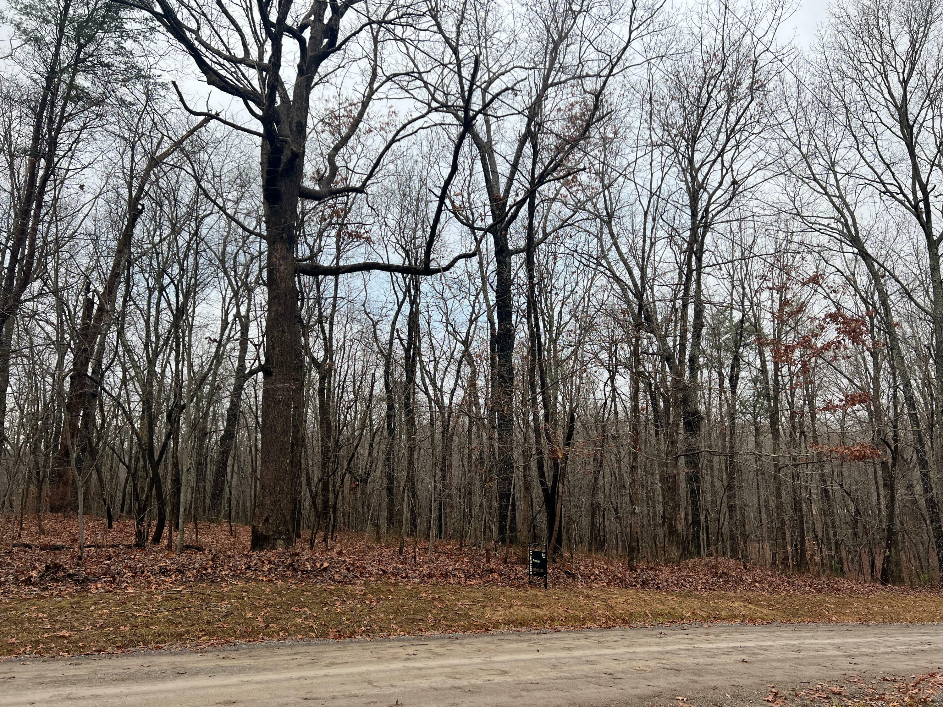 Property Photo:  H58 Tatum Mining Road  GA 30731 