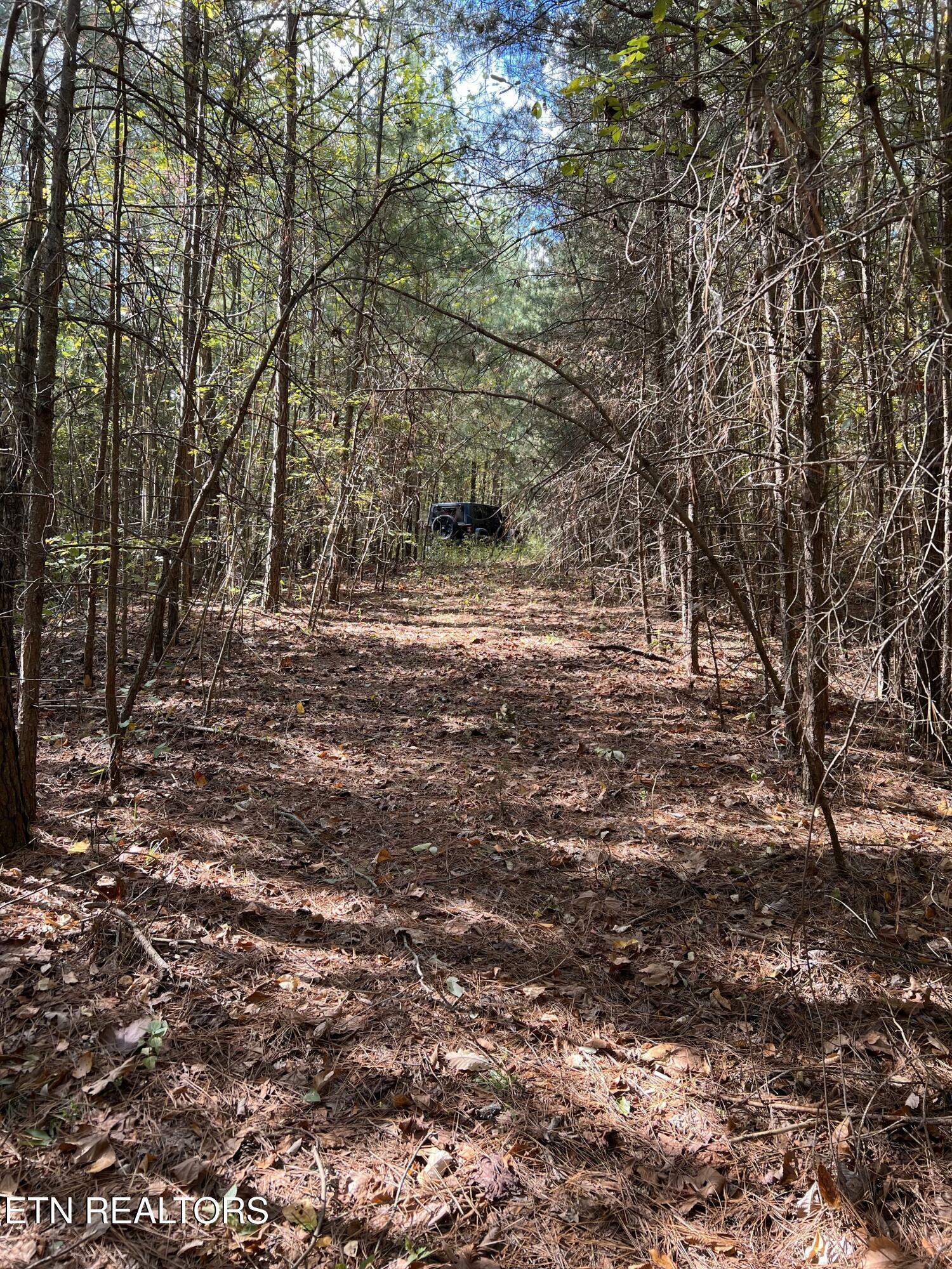 Property Photo:  Blue Sewannee  TN 37367 