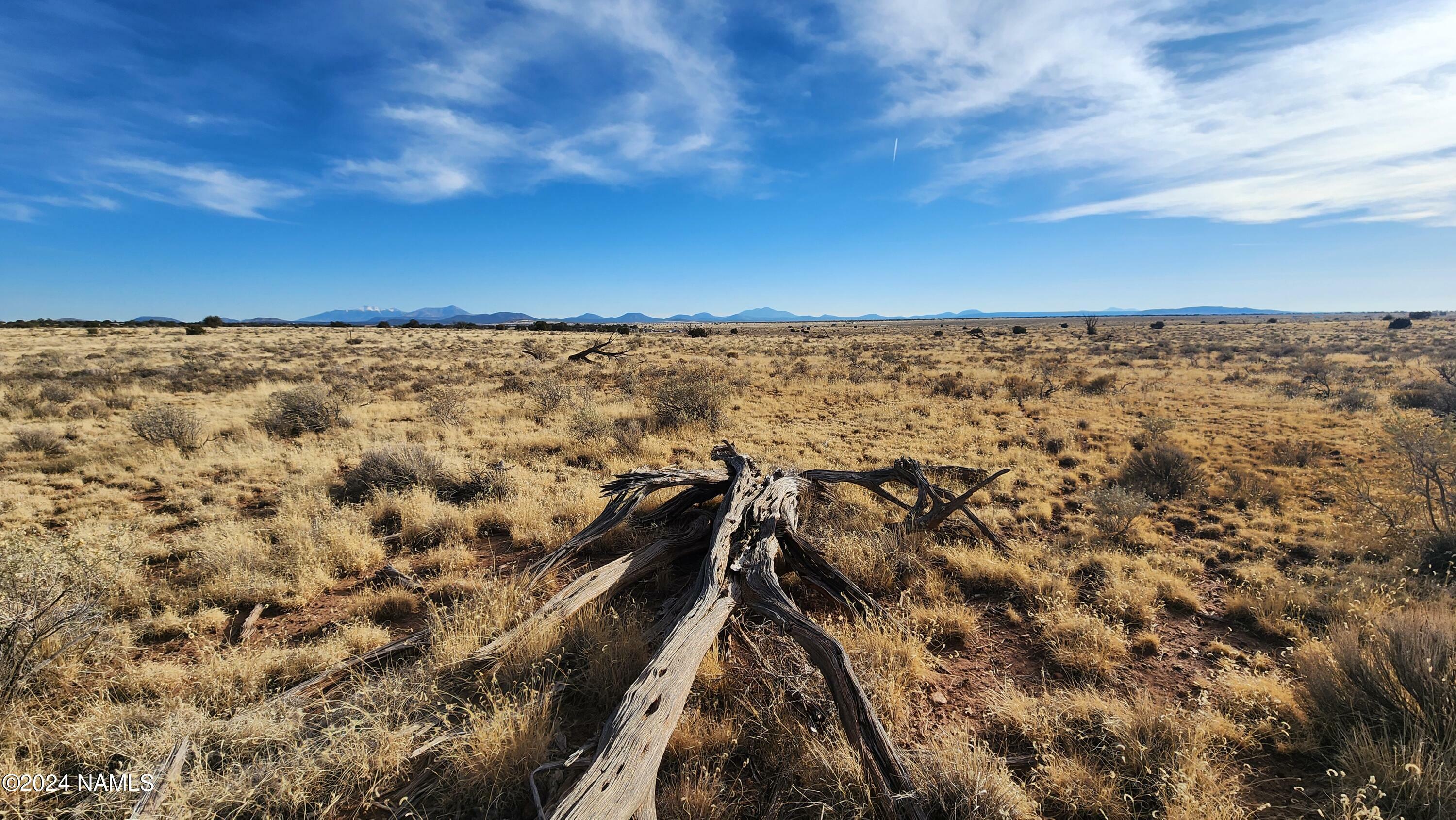 Property Photo:  929 E Princeton Avenue  AZ 86046 