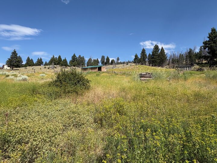 Property Photo: 180 Lower Rader Creek Road MT 59759