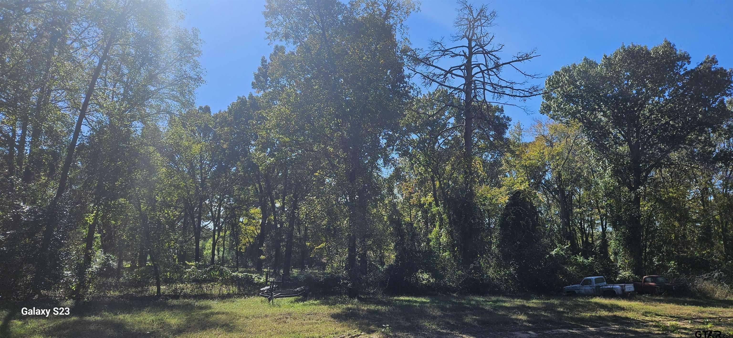 Property Photo: Tbd Walling TX 75704