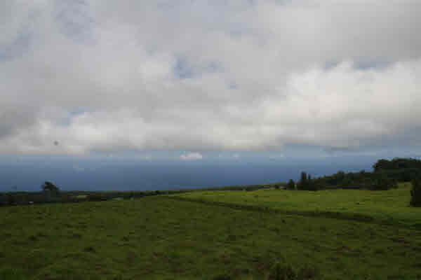 Property Photo: Manienie Rd.(Aka Govt.rd) HI 96776