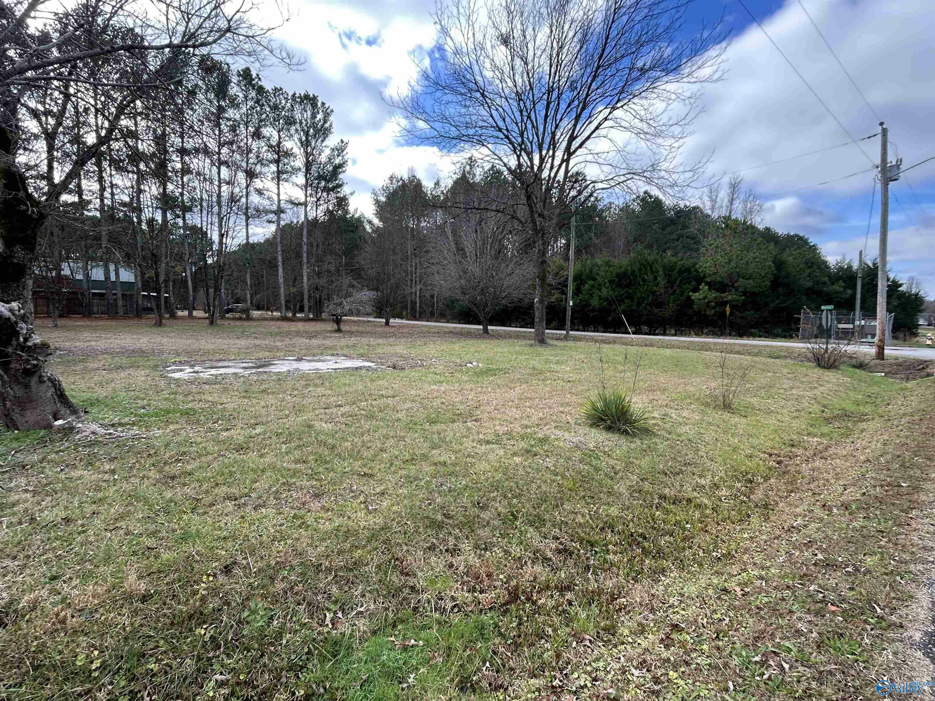 Property Photo:  0.33 Maple Drive  AL 35760 