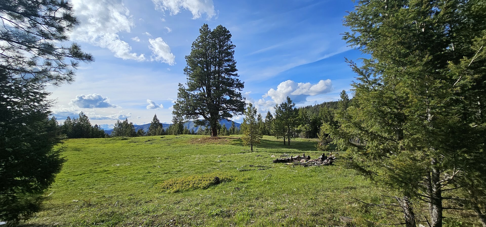 Property Photo:  5 Tract Bull Elk  MT 59832 