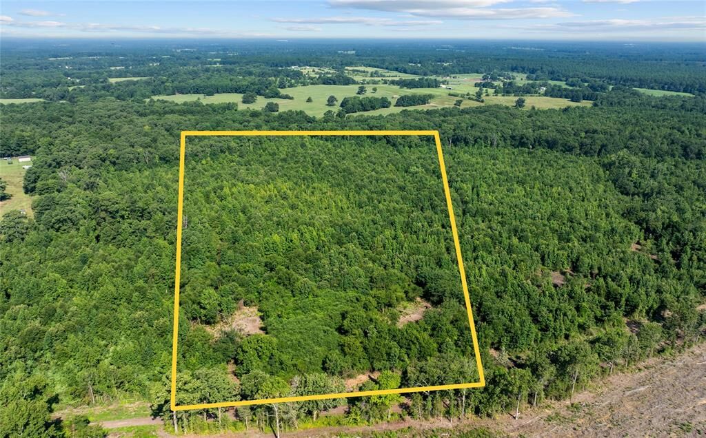 Property Photo:  9443 Mistletoe Road Lot 10 &Amp 11  TX 75644 