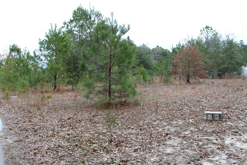 Property Photo:  Bonaparte Trail  SC 29047 