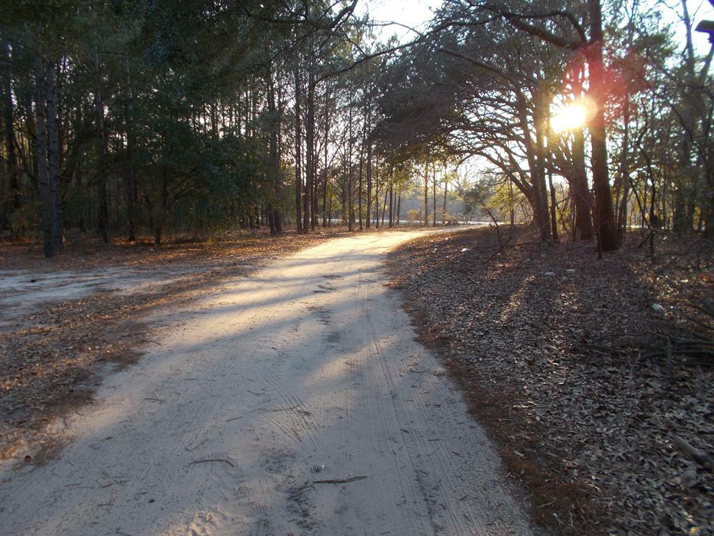 Property Photo:  Bonaparte Trail  SC 29047 