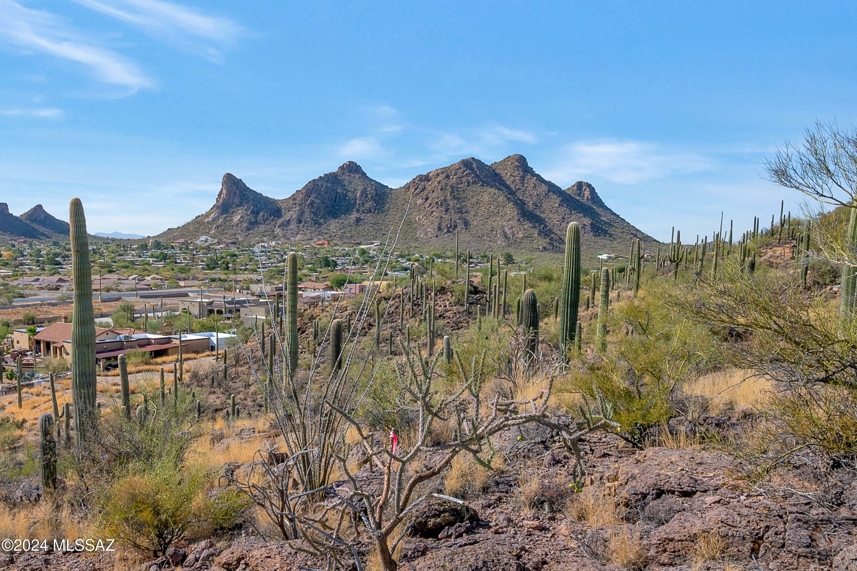 Property Photo: 4896 S Cactus Wren Avenue AZ 85746