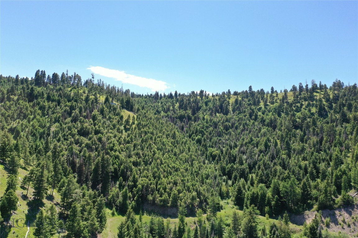 Property Photo:  13 Garnet Range Tract  MT 59832 