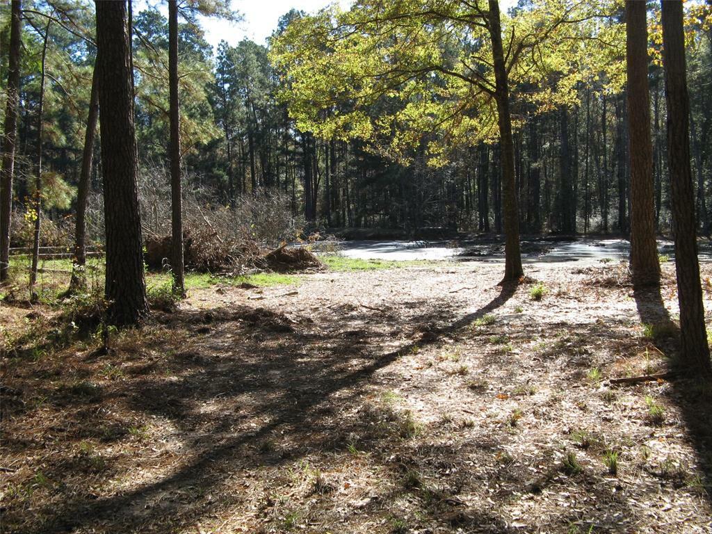 Property Photo: 0 Tbd Beef Road TX 75845