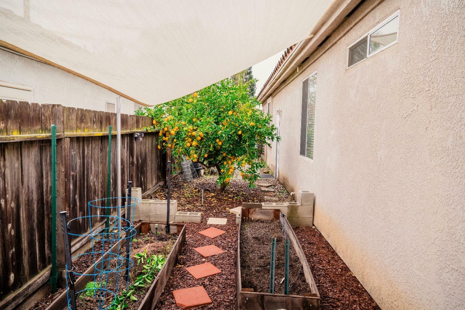 Property Photo:  7745 N Princess  CA 93722 