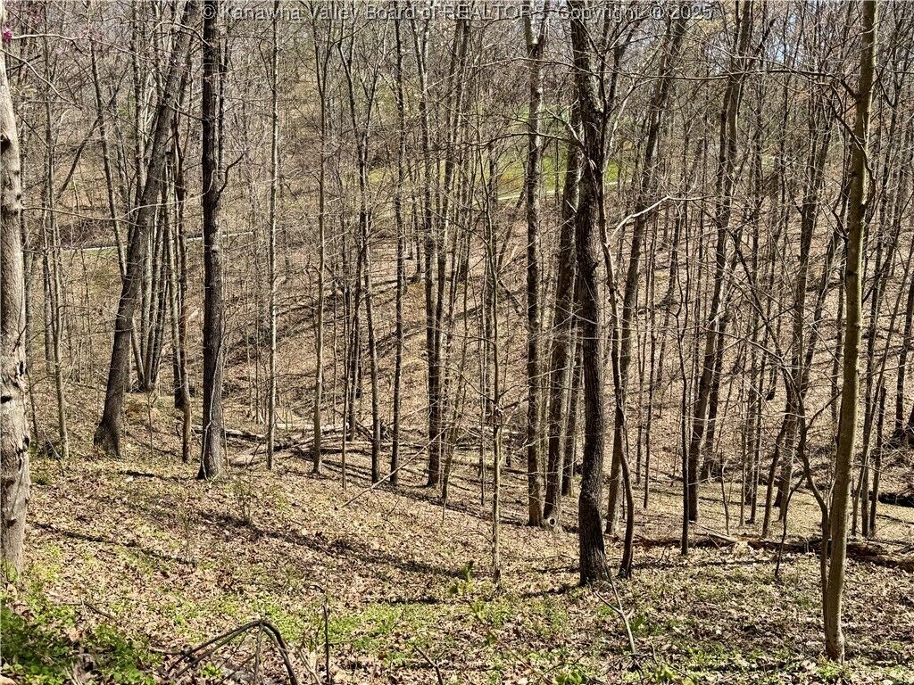 Property Photo: 0 Poplar Estates Drive WV 25560