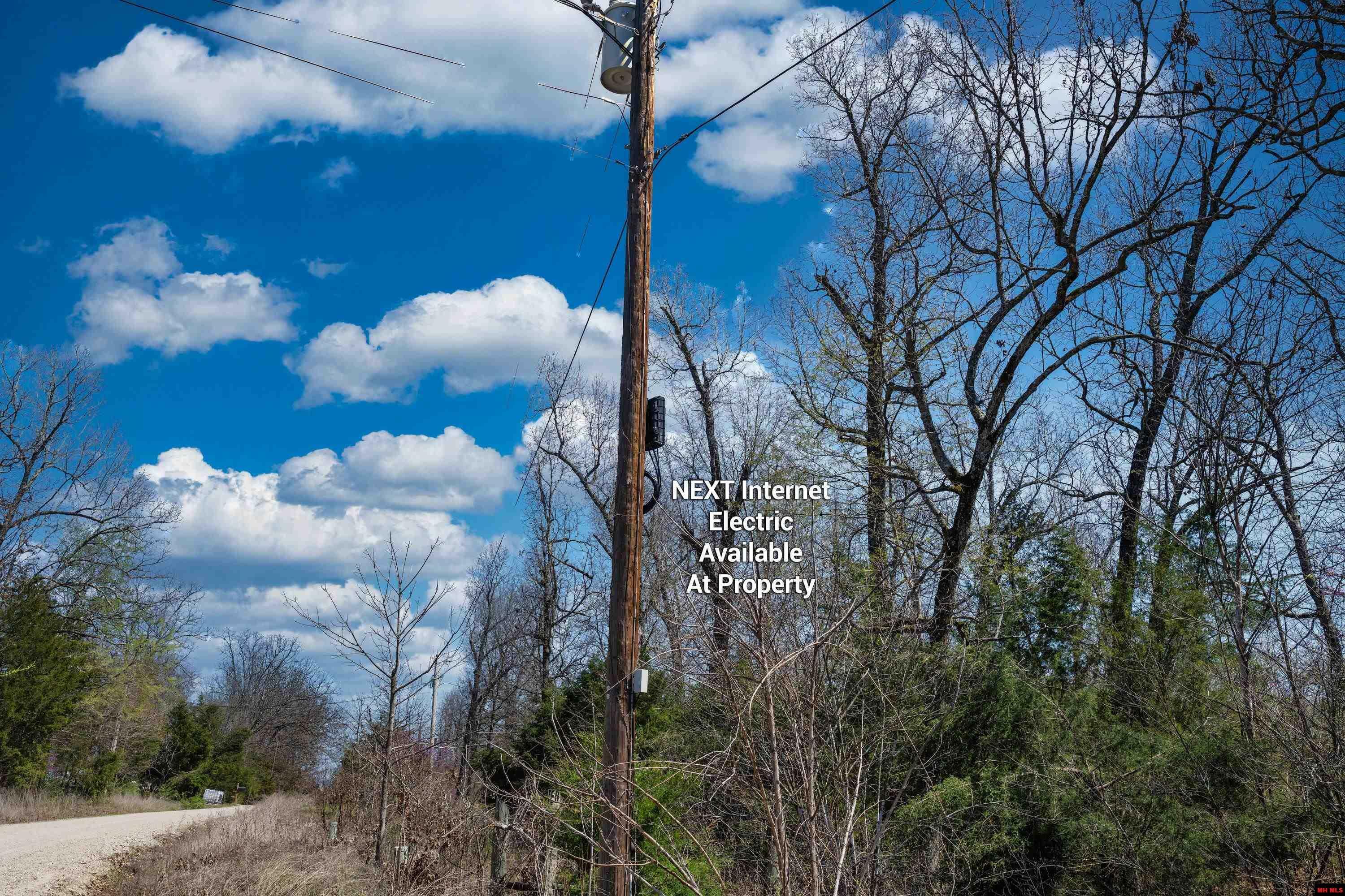 Property Photo: 180 Foster Drive AR 72651