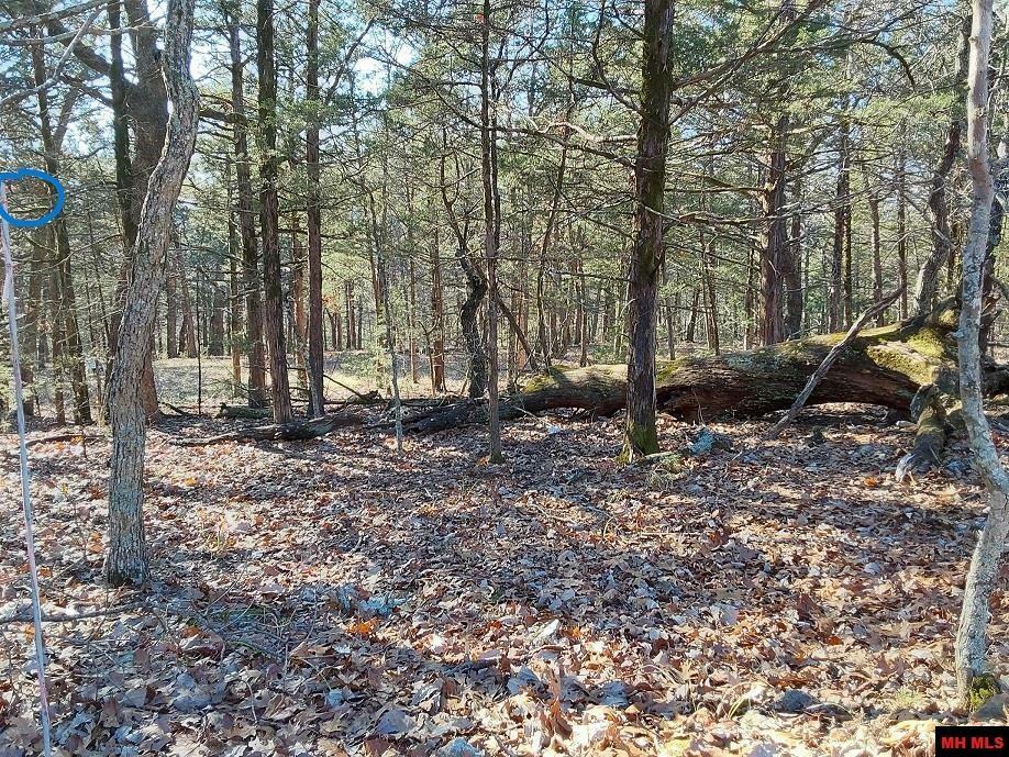 Property Photo: Lot 1-4 Mc 131 AR 72661