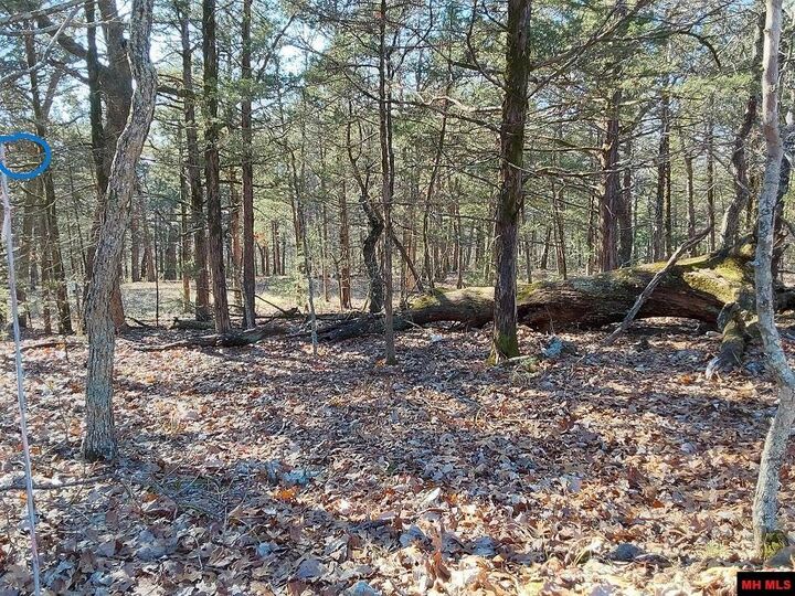 Property Photo:  Lot 1-4 Mc 131  AR 72661 