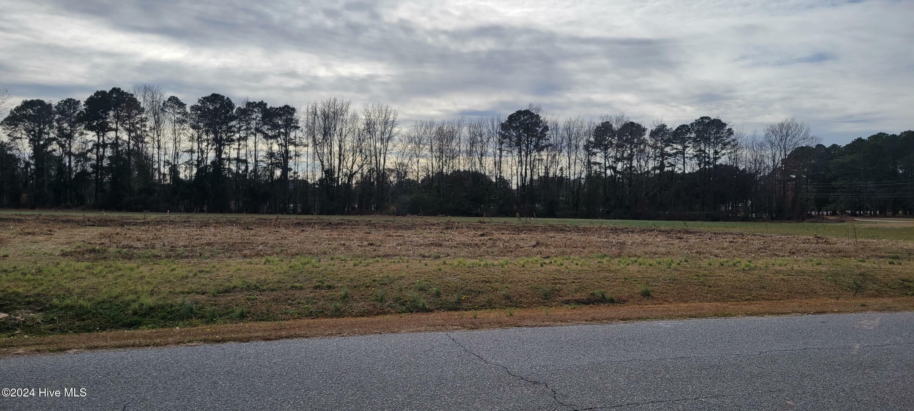 Property Photo:  Lot 1 Crown Drive  NC 27889 