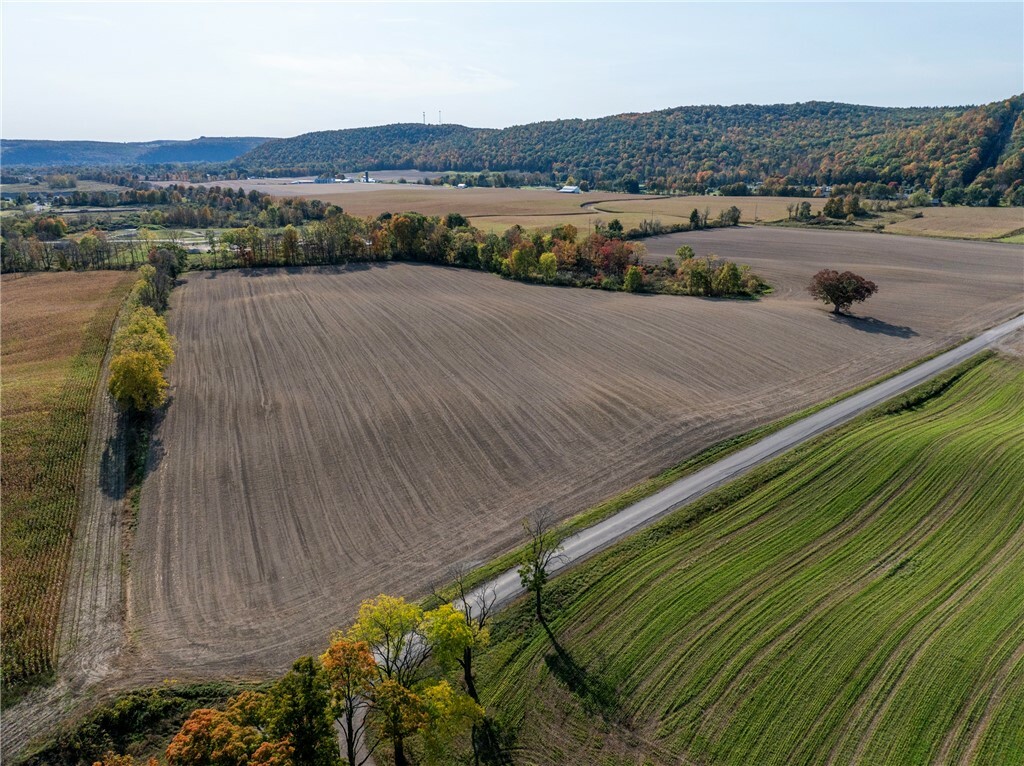 Property Photo:  00 Fish Hatchery Rd Street  NY 14810 
