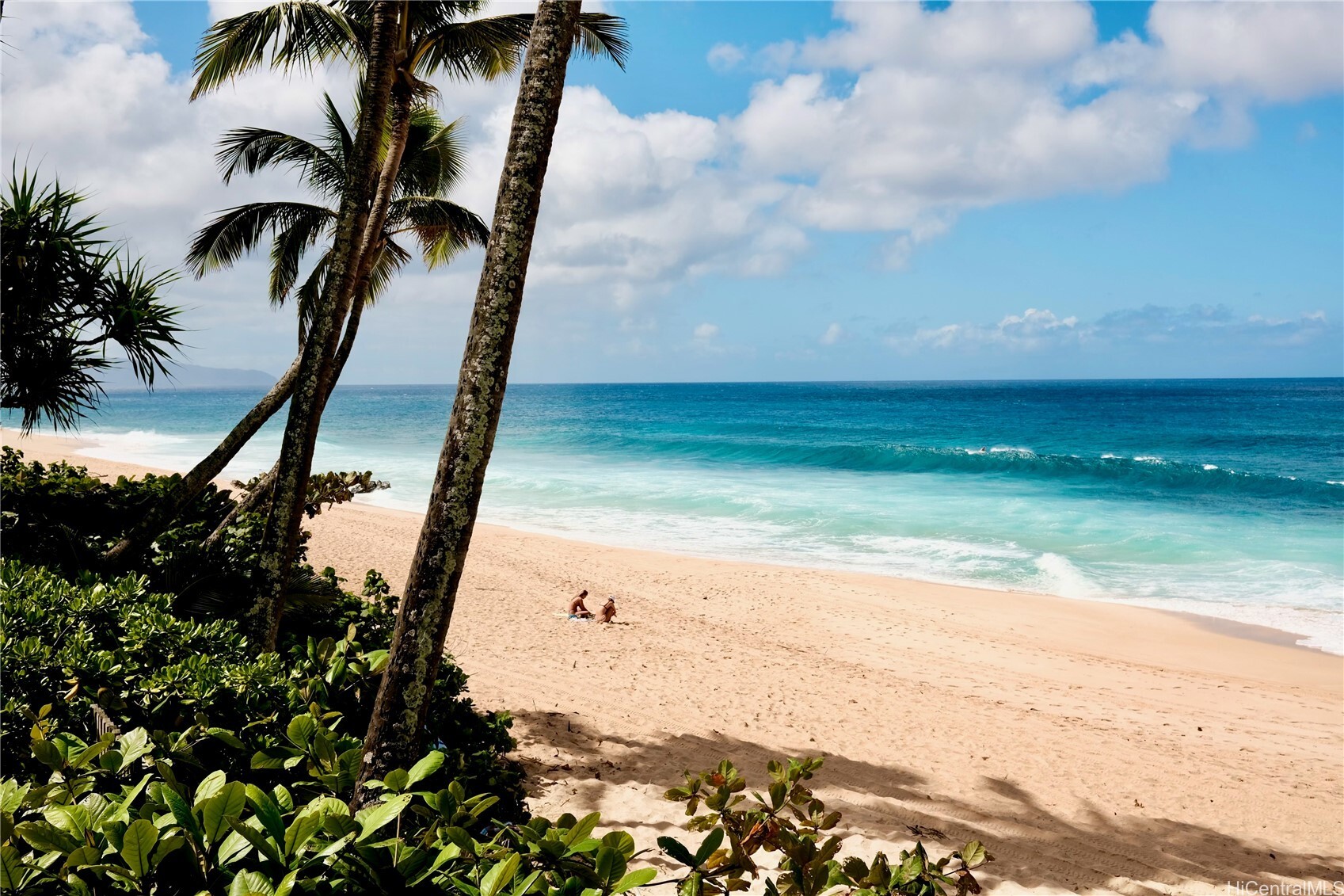 59-471 Ke Waena Road  Haleiwa HI 96712 photo