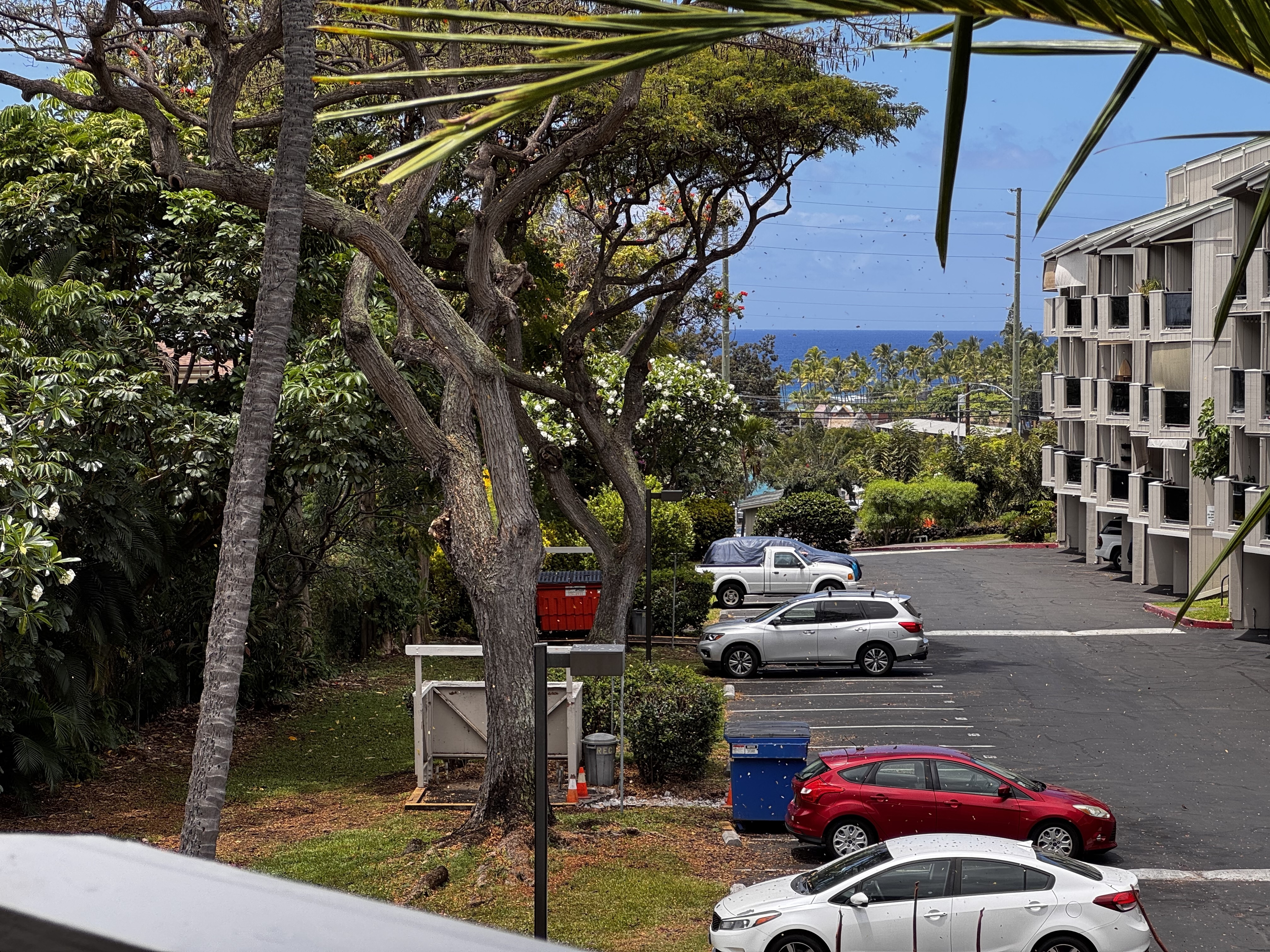 75-5669 Kuakini  Highway 4204  Kailua-Kona HI 96740 photo