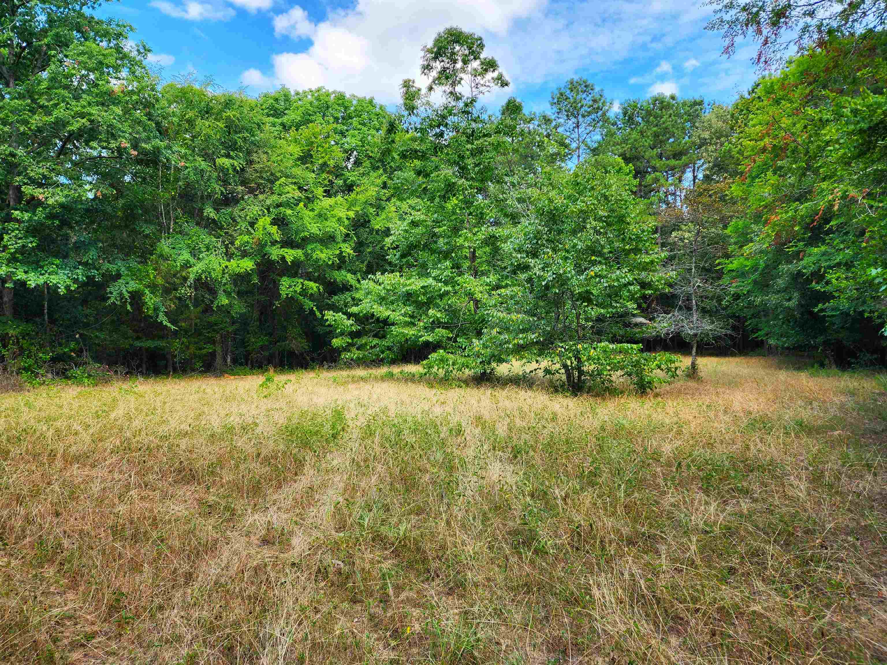 Property Photo:  145 S Sugar Creek Road  GA 31024 