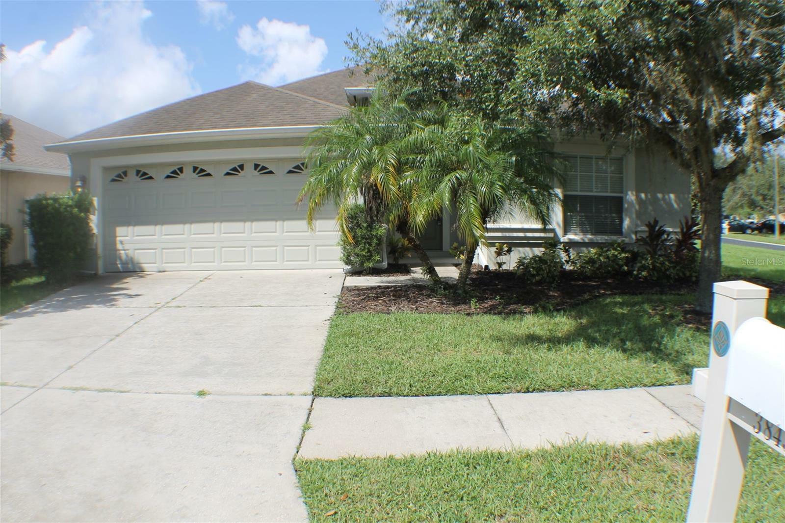 3843 Langdrum Drive  Wesley Chapel FL 33543 photo