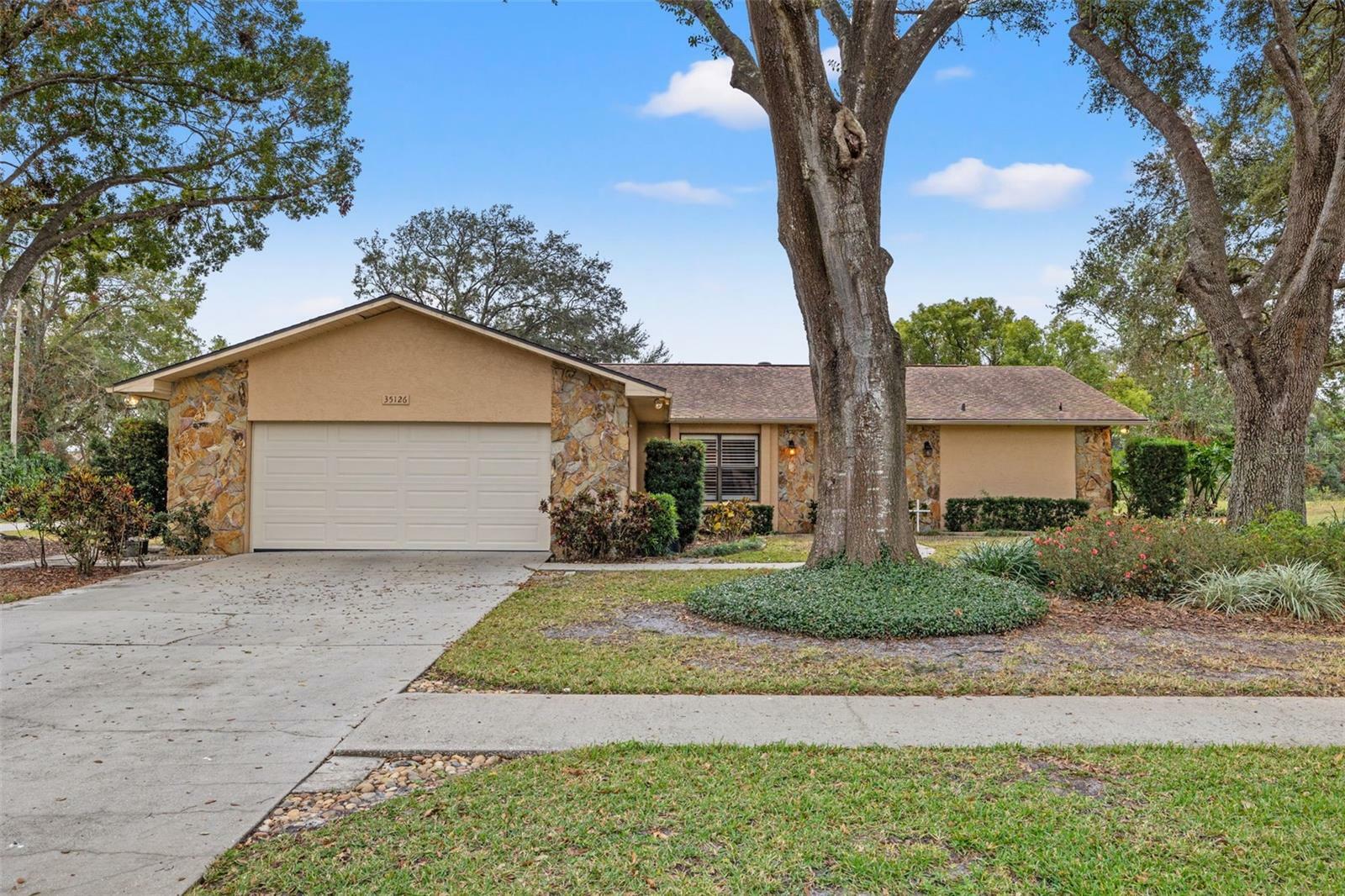 Property Photo:  35126 Perch Drive  FL 33541 